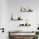 PÓŁKA NA ŚCIANĘ ZESTAW 3 SZT RUSTYKALNE LOFT