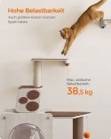 SCHODKI ŚCIENNE dla kota drabinka półka szczotka podkładki filcowe