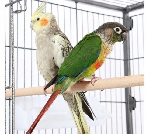 KLATKA DLA PTAKÓW Yaheetech na kółkach woliera czarna