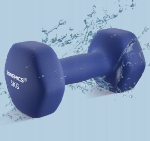 HANTLE powlekane/gumowane stałe Songmics 2 x 5 kg